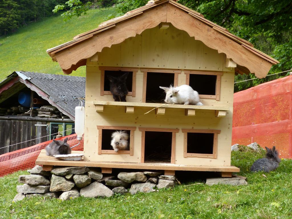 Ferienwohnung Schieplechnerhof Schladming Exterior foto
